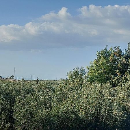 La Villa Del Conte バルレッタ エクステリア 写真