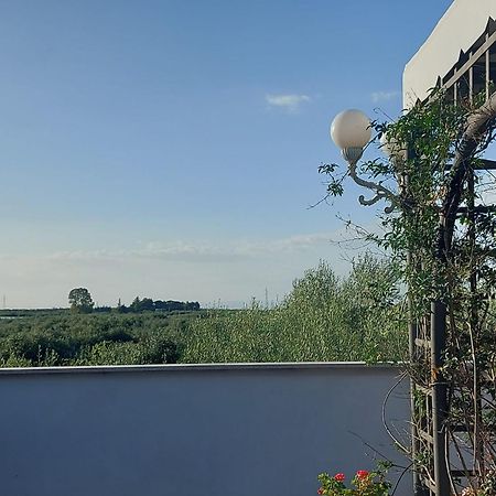 La Villa Del Conte バルレッタ エクステリア 写真
