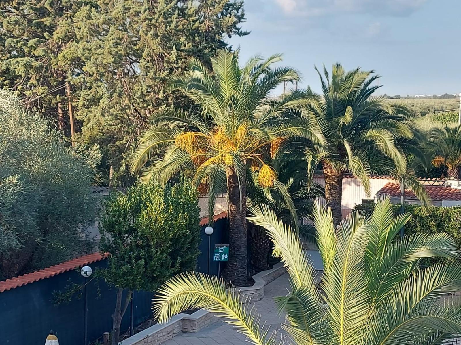 La Villa Del Conte バルレッタ エクステリア 写真