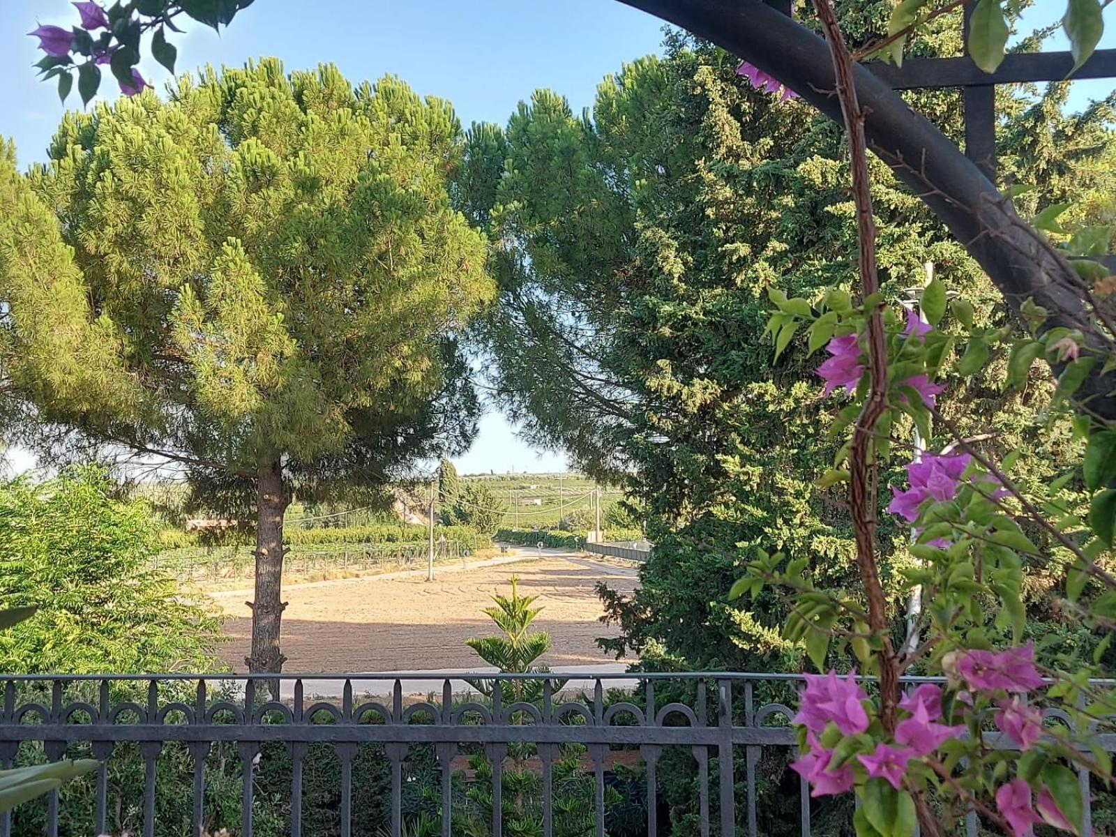 La Villa Del Conte バルレッタ エクステリア 写真