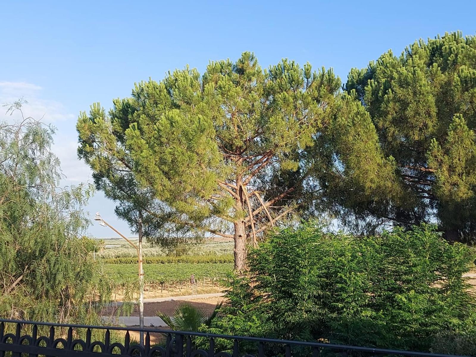 La Villa Del Conte バルレッタ エクステリア 写真