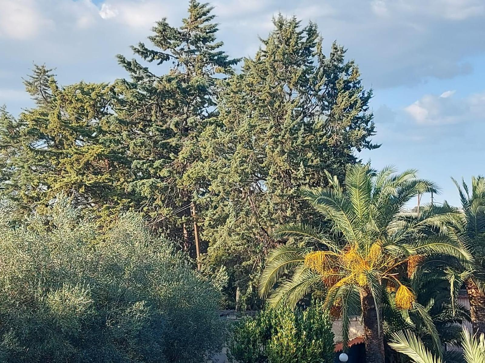 La Villa Del Conte バルレッタ エクステリア 写真